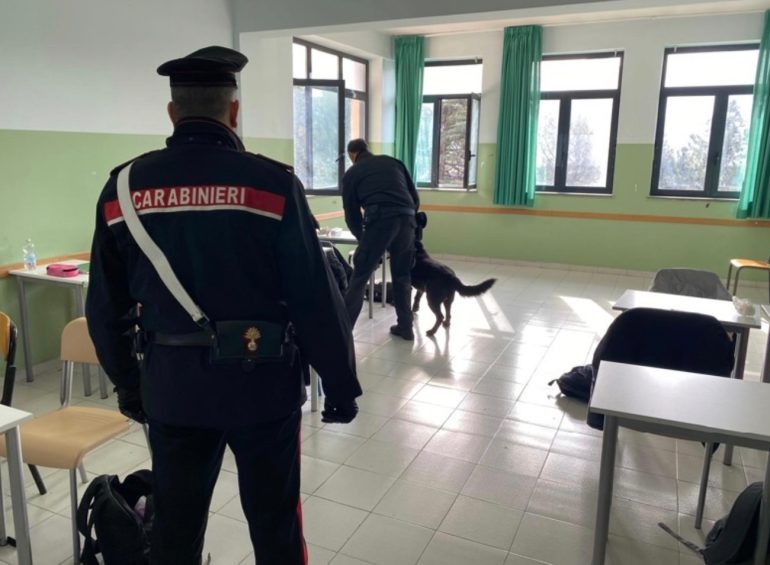 Santa Maria a Vico , “Attila” in azione al Majorana: il cane antidroga dei carabinieri a  scuola