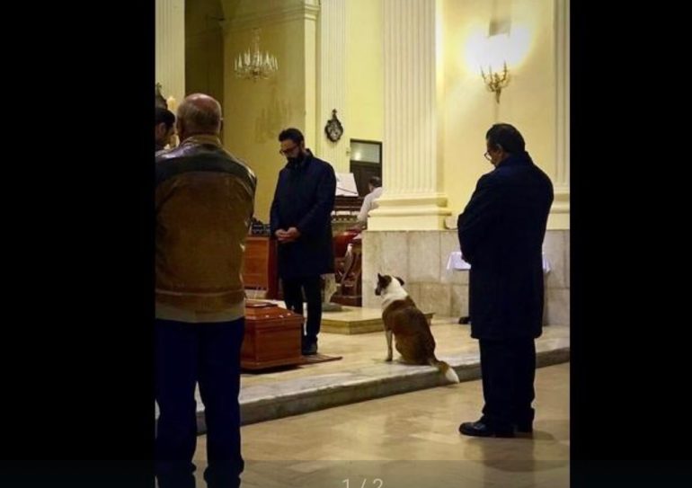 Addio a Sally, la cagnolina che vegliava sui funerali del paese