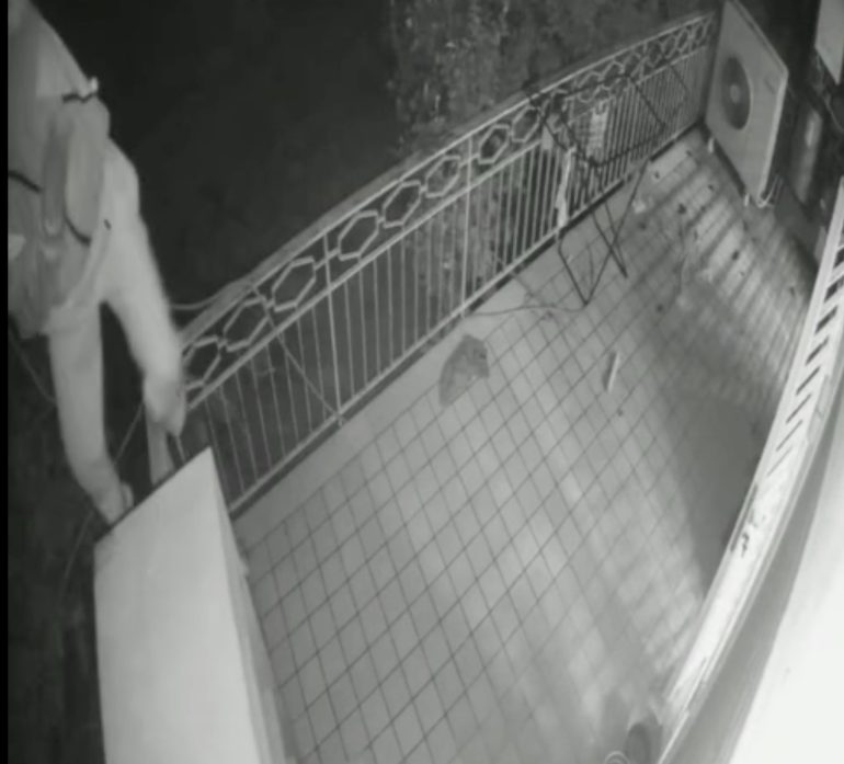 Napoli, ladri acrobati in azione all’Arenella