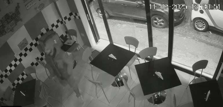Vomero, furto in un pub: ladro svuota la cassa delle mance e fugge