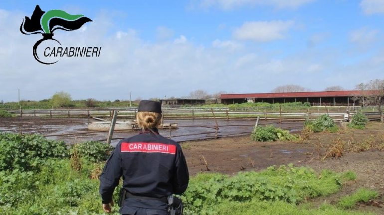 Somma Vesuviana, azienda sequestrata per inquinamento ambientale: cittadini esasperati da odori insostenibili