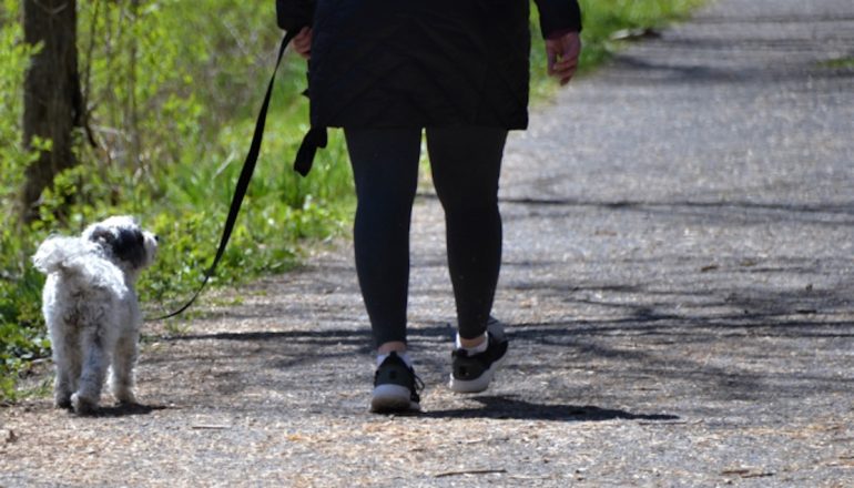 Stalking alla suocera: scatta il divieto di avvicinamento per una 31enne