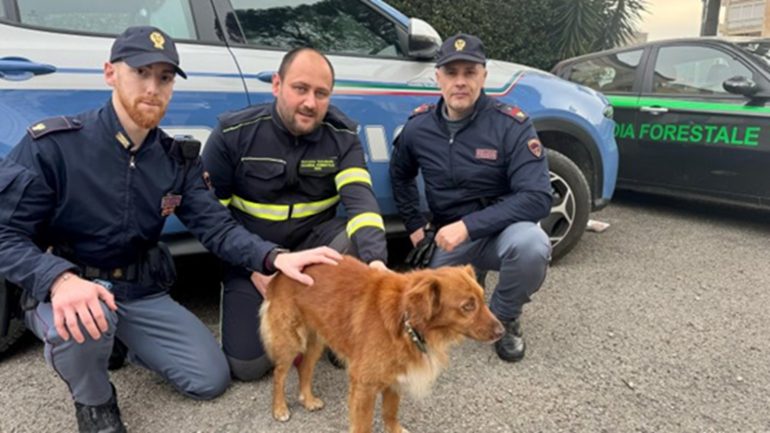 Benevento, cane smarrito salvato dalla polizia in una galleria trafficata