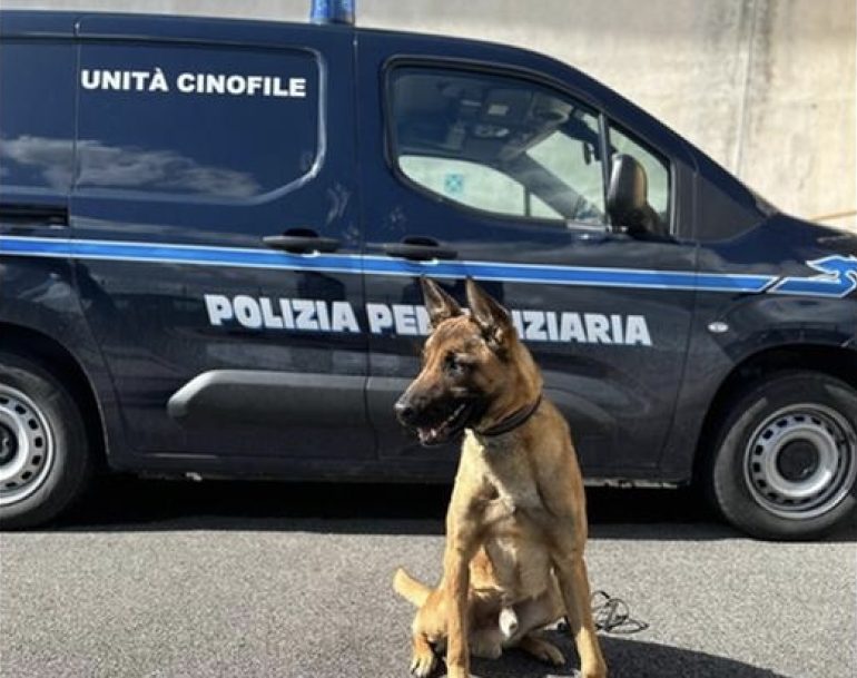 Arienzo, sequestrati stupefacenti destinati ai detenuti
