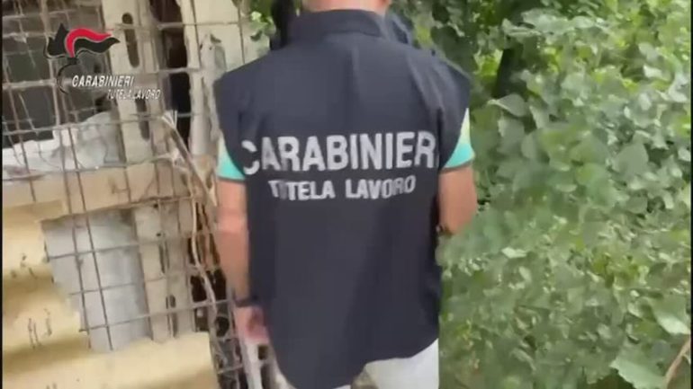 Immigrazione clandestina e corruzione: arrestato funzionario dell’Ispettorato del Lavoro di Napoli