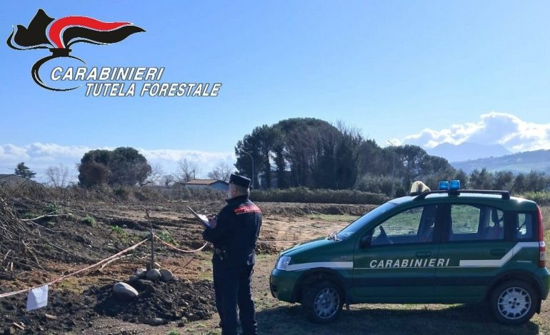 Sequestrato un cantiere nautico a Torre Annunziata