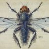 Pochi sanno che qui sono stati trovati diversi esemplari di