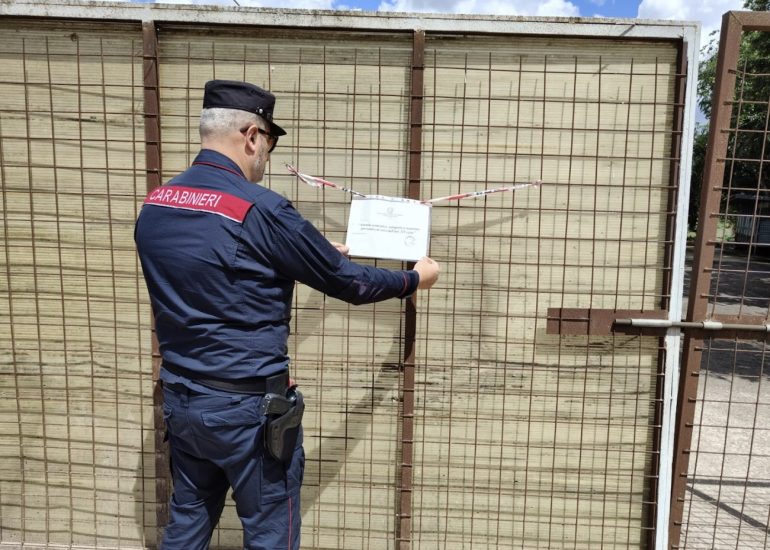 San Tammaro, sequestrato allevamento bufalino, denunciati i titolari