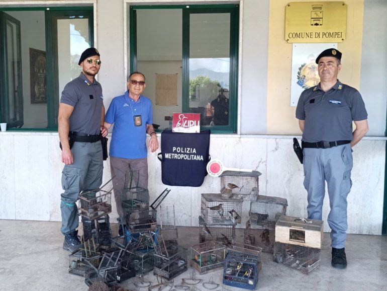 Pompei, blitz anti-bracconaggio: salvati 24 uccelli protetti