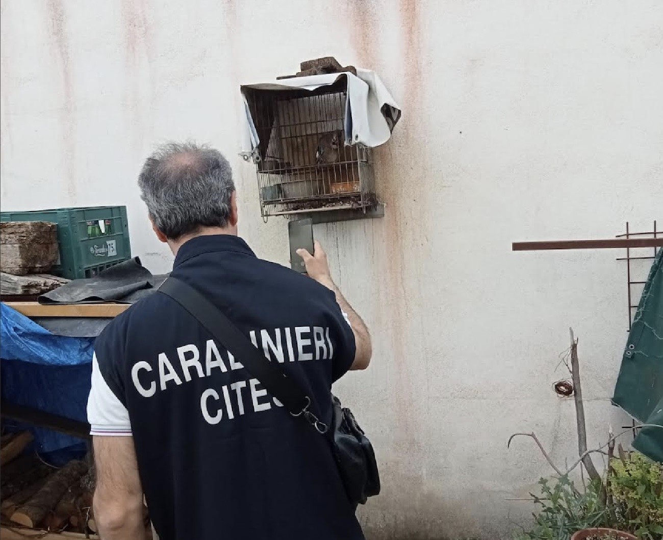 Controlli antibracconaggio tra Napoli e Caserta: sequestri e denunce dei Carabinieri Forestali