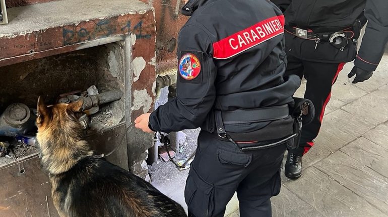 Sannio, smantellata rete di spaccio coordinata dal carcere tramite cellulari: 12 indagati