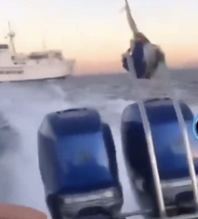 Motoscafo a tutta velocità sfiora traghetto nel canale di Procida: bufera sui social