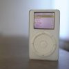 Apple ha iniziato a inserire questa vite nel primo iPod.