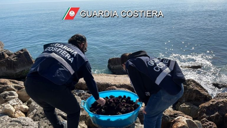 Parco della Gaiola: sequestrati oltre 1.000 ricci di mare, denunciati 2 pescatori di frodo