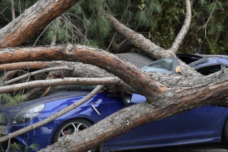 Agnano, commerciante schiacciato da albero