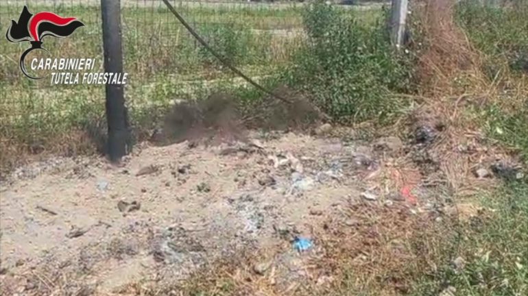 Brusciano, carcassa di un cavallo nel campo agricolo: scatta il sequestro