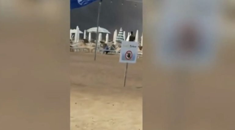 Incendio devasta la pineta di Baia Domizia: causa mancata pulizia delle sterpaglie