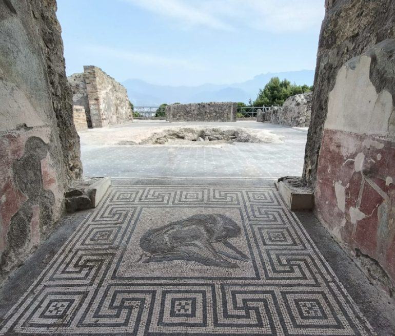 Pompei, l’Insula Meridionalis raccontata da Zuchtriegel