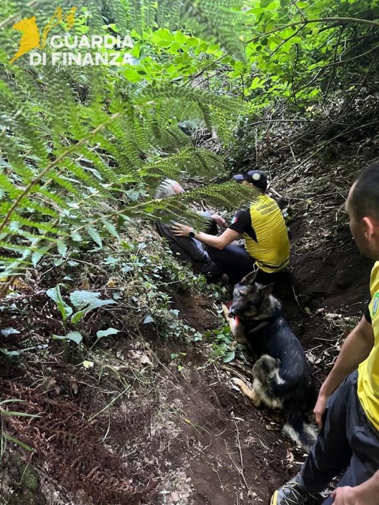 Avellino, ritrovato vivo l’anziano cercatore di funghi disperso sul Partenio