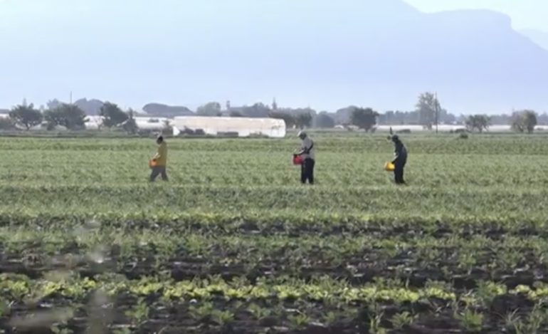 Truffe sui migranti: 3 avvocati a capo dell’organizzazione, coinvolto un poliziotto. TUTTI I 46 NOMI