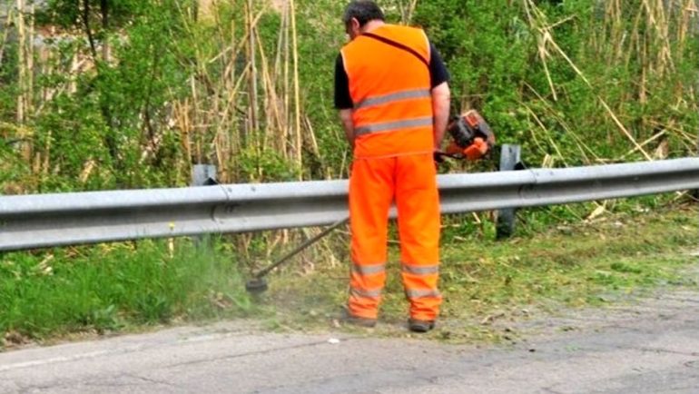 Corruzione negli appalti per la cura del verde: perquisizioni in Piemonte, Campania e Molise