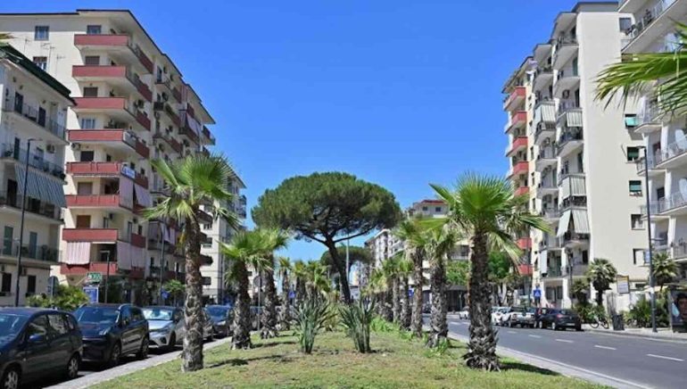 Napoli, viale Augusto rinasce: tornano le palme
