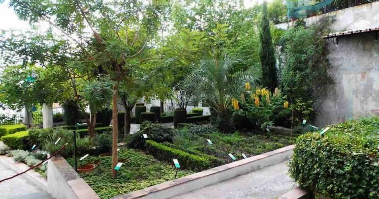 Salerno, dopo 400 anni riapre il Giardino della Minerva