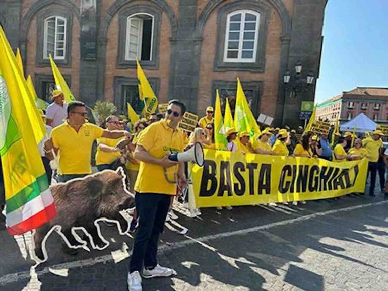 Basta cinghiali!” Coldiretti Caserta porta la battaglia in Regione: il 30 luglio l’incontro decisivo