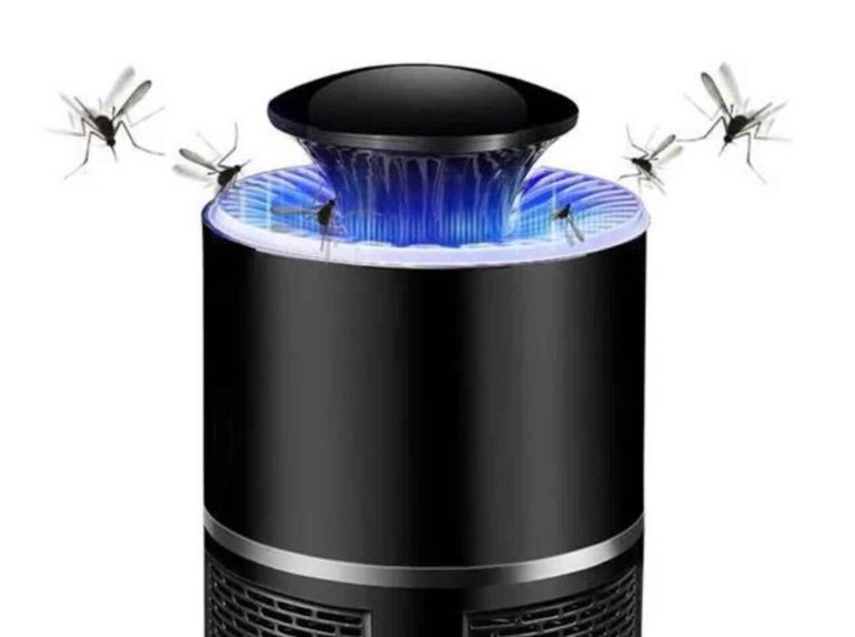 West Nile, trappole anti-zanzare nella provincia di Caserta dopo l’allarme Asl