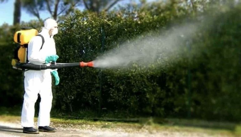 West Nile, allarme a Napoli: il prefetto ordina disinfestazioni urgenti nei Comuni