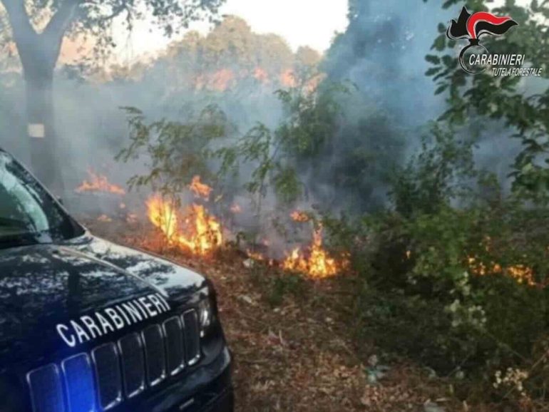 Ischia, brucia la macchia mediterranea: denunciato un uomo per incendio colposo
