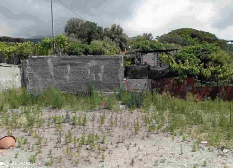 Abusivismo nel Parco del Vesuvio: scatta la demolizione