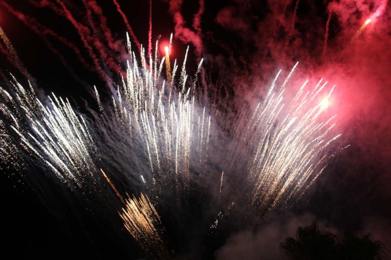 Fuochi d’artificio per festeggiare la comunione della figlia: l’incendio distrugge 10mila piante