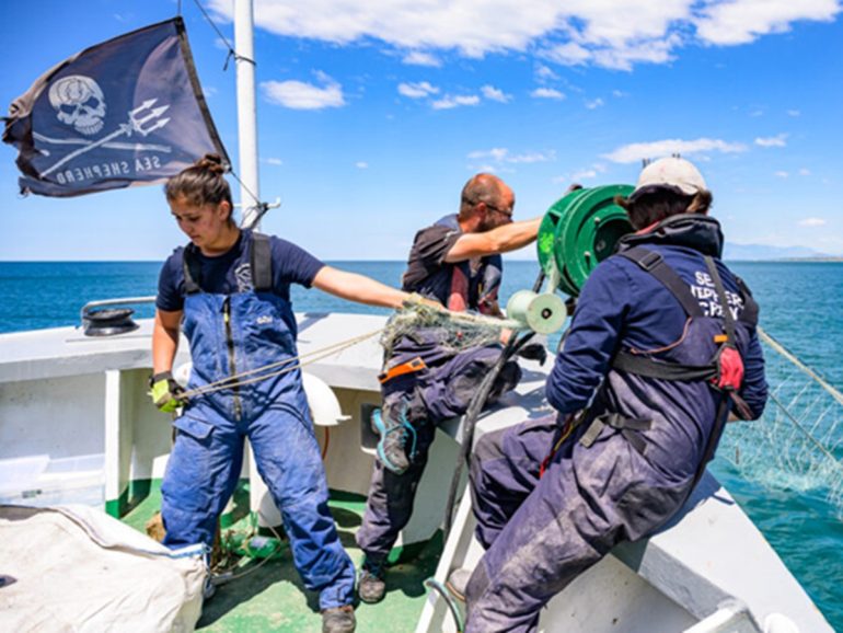 Castel Volturno, rimossi 5 km di rete illegale: salvato l’habitat delle tartarughe marine