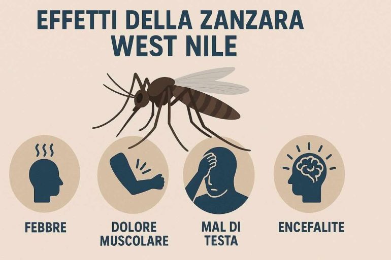 West Nile, allarme in Campania: i medici veterinari in prima linea nella prevenzione