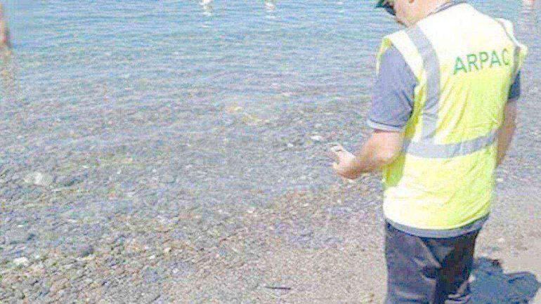 Baia, nuova moria di pesci in mare: scattano i controlli della Guardia Costiera e dell’Arpac