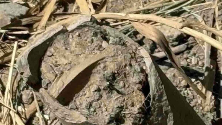 Forio d’Ischia, allarme amianto a Zaro: sversamento illecito a pochi metri dalla Colombaia di Visconti