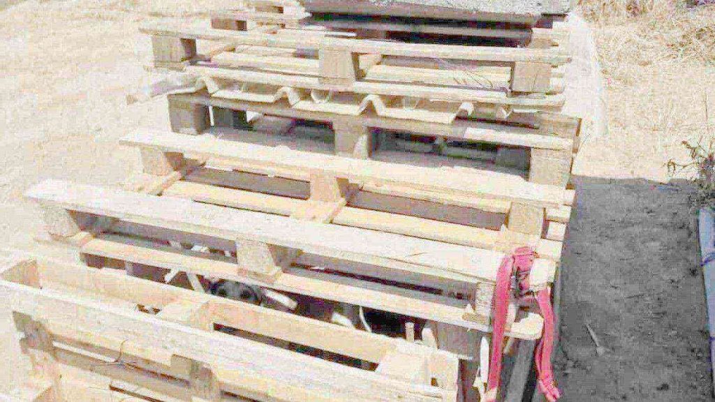 Giugliano, cane rinchiuso in una cella di legno sotto il sole: salvato da Borrelli e OIPA