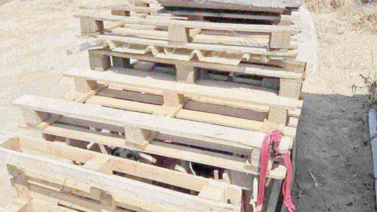 Giugliano, cane rinchiuso in una cella di legno sotto il sole: salvato da Borrelli e OIPA