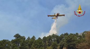 Incendio a Ischia: interventi aerei e terra per domare le fiamme a San Pancrazio