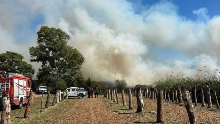Castel Volturno, l’Oasi dei Variconi in cenere: secondo incendio in 48 ore