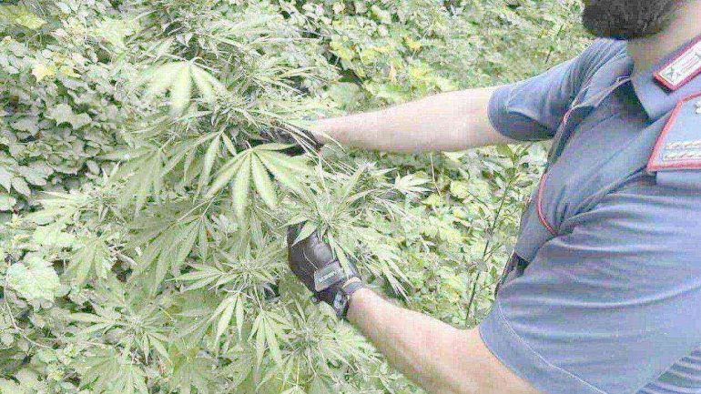 Nell'immagine, un dettaglio legato alla vicenda.