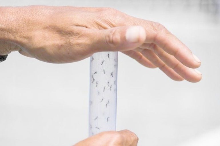 Nessun allarme per il caso di West Nile all’Ospedale Cotugno