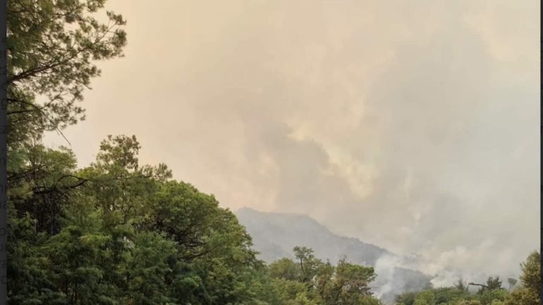 Vesuvio in fiamme, allarme Legambiente: “Fate presto”. Decretata la mobilitazione straordinaria della Protezione civile
