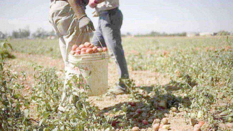 Villa Literno, migrante rapinato della paga settimanale nei campi: arrestato tunisino