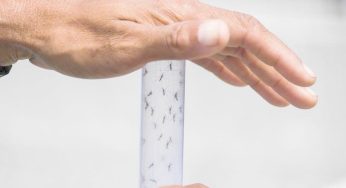 West Nile virus: l’Italia affronta la sfida della sorveglianza e della trasparenza dei dati