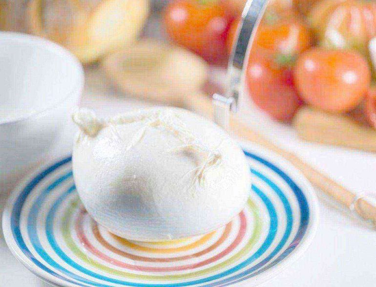 Mozzarella Dop : seminari al Consorzio tutela bufala campana