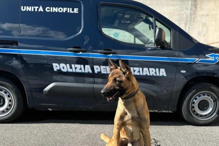 Ariano, ai colloqui in carcere con 100 grammi di stupefacenti nascosti nelle parti intime: arrestata