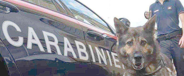 Blitz ai Palazzi Azzurri di Mondragone: droga, furti e un arresto
