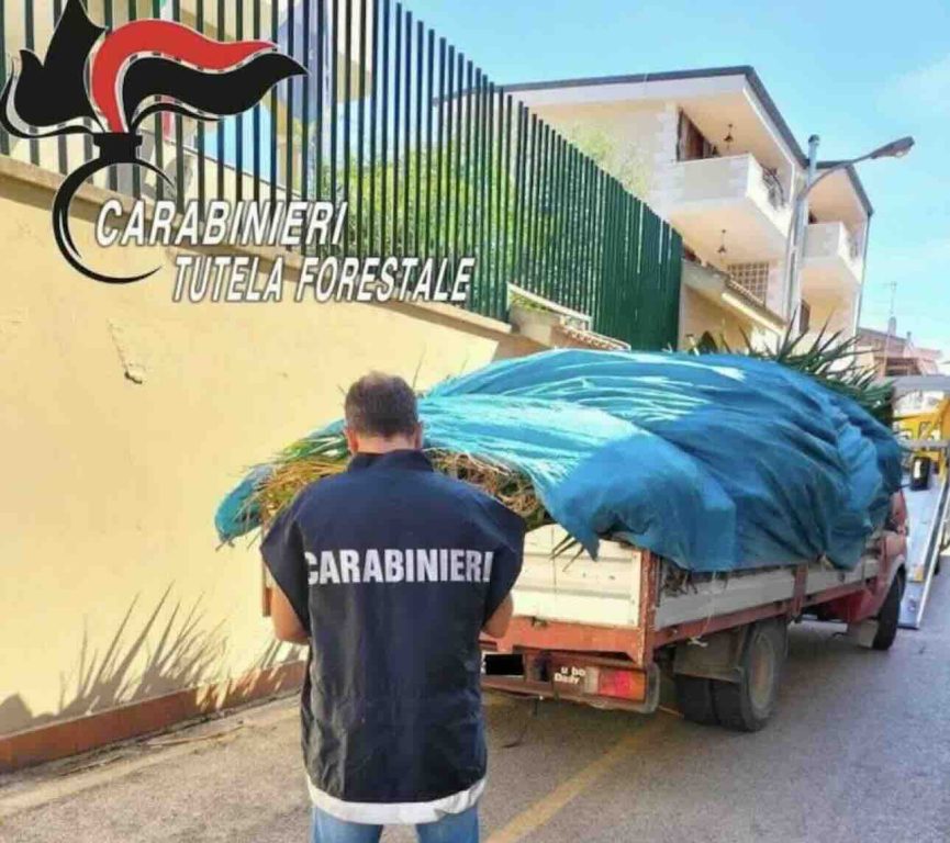 Casaluce, colti in flagrante mentre sversavano rifiuti. Sequestrata l’area e ritirata la patente